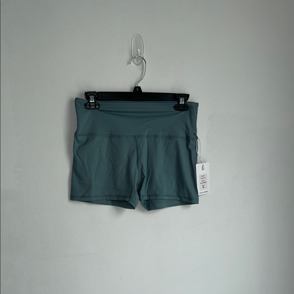 CAPELLA Women's Teal Shorts